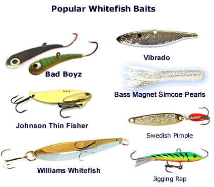How to catch whitefish during the February Blahs