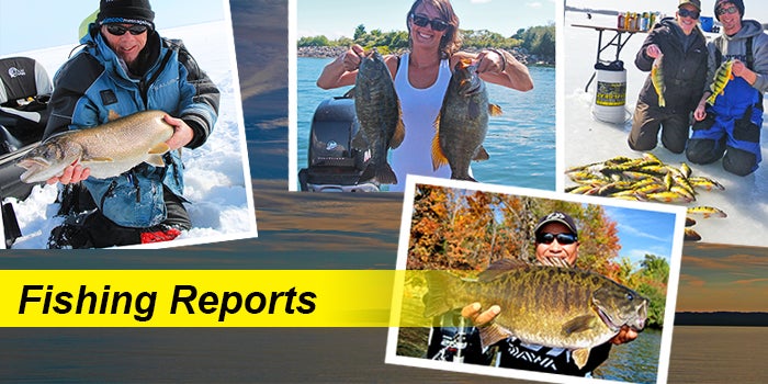 Lake Simcoe Fishing Reports